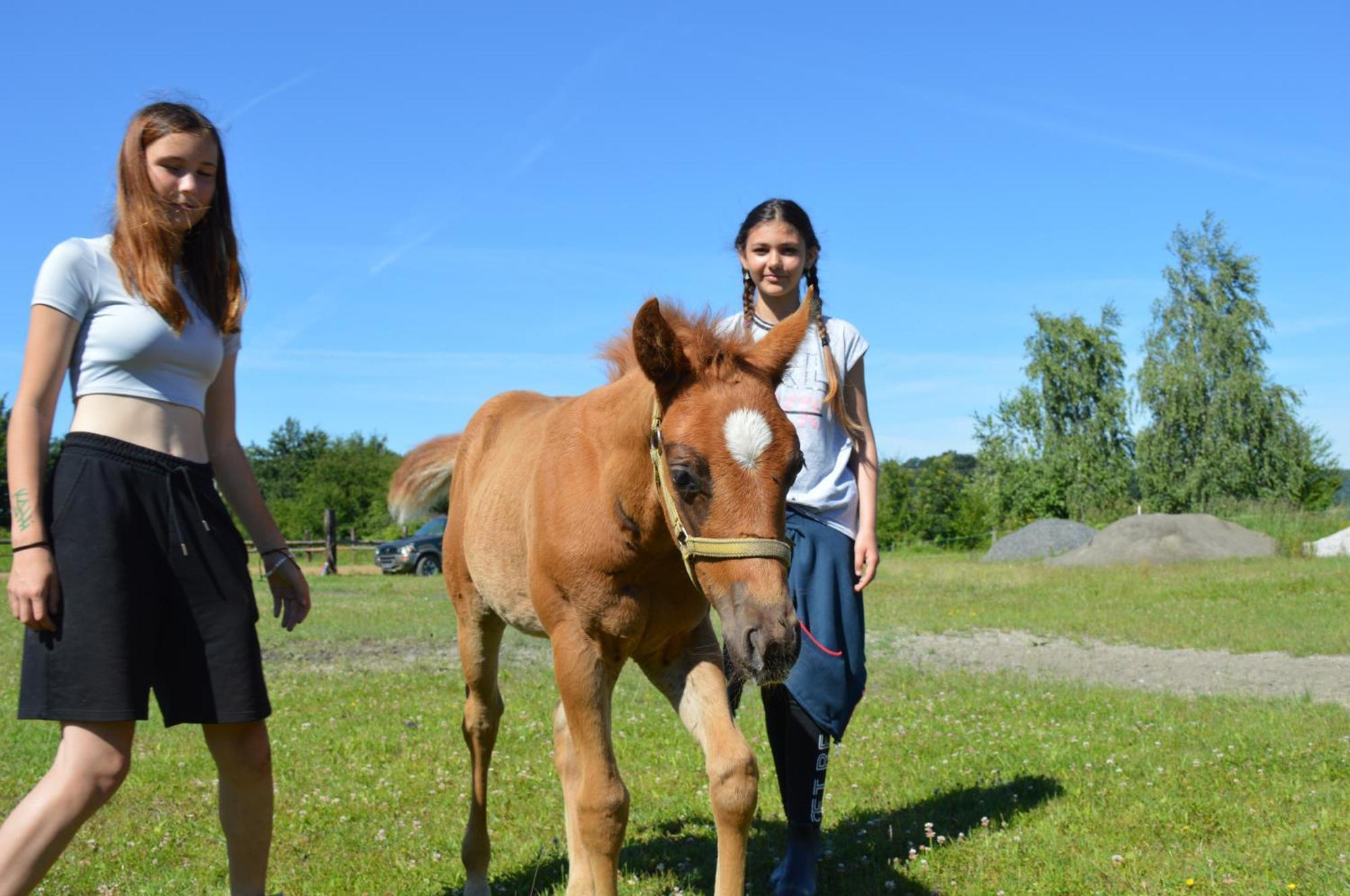 Bubla City Ranch Kopřivnice Eksteriør billede