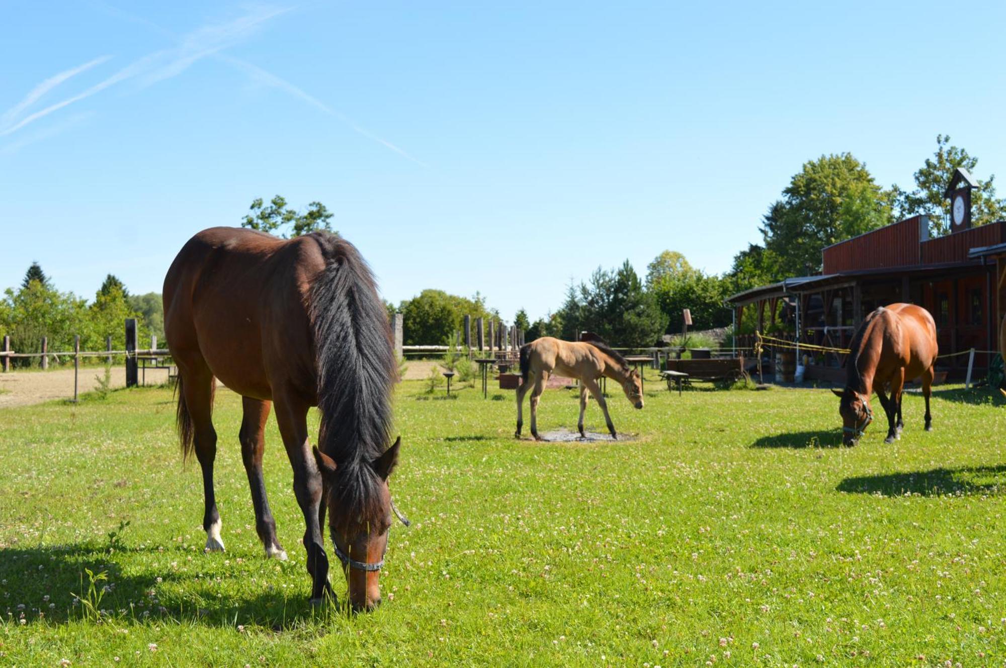 Bubla City Ranch Kopřivnice Eksteriør billede